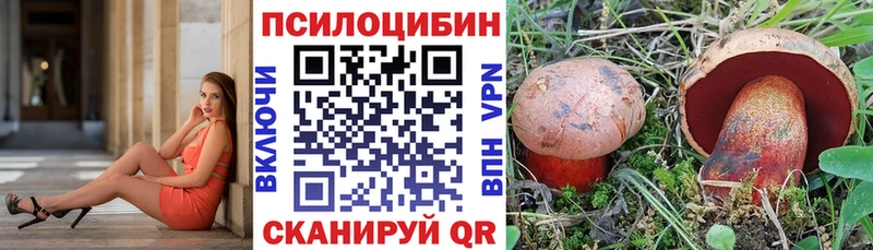 ОМГ ОМГ маркетплейс  Новый Оскол  дарк нет какой сайт  Галлюциногенные грибы ЛСД 